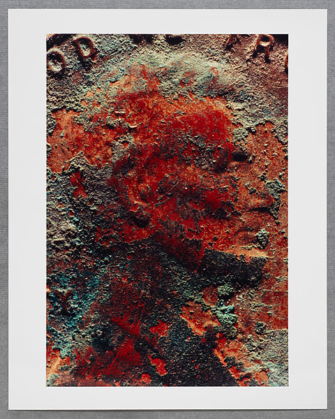Copperhead Grid, Moyra Davey (American, born Toronto, 1958), Chromogenic prints