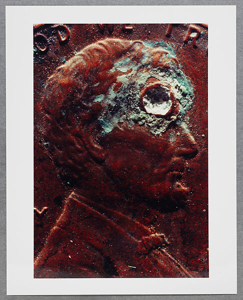 Copperhead Grid, Moyra Davey (American, born Toronto, 1958), Chromogenic prints