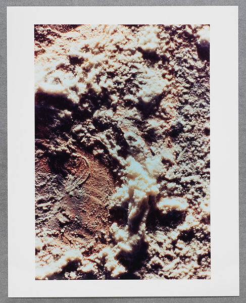 Copperhead Grid, Moyra Davey (American, born Toronto, 1958), Chromogenic prints