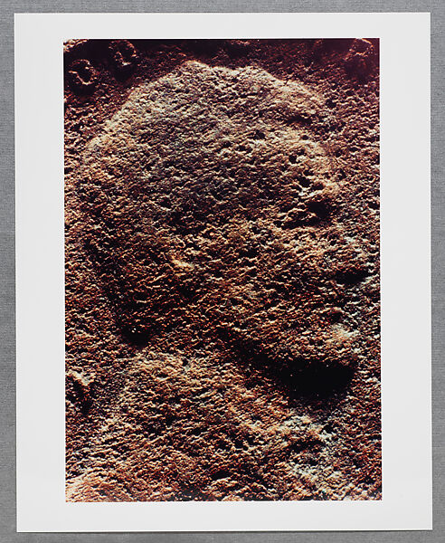 Copperhead Grid, Moyra Davey (American, born Toronto, 1958), Chromogenic prints