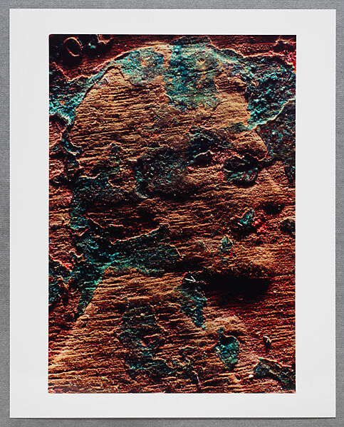Copperhead Grid, Moyra Davey (American, born Toronto, 1958), Chromogenic prints