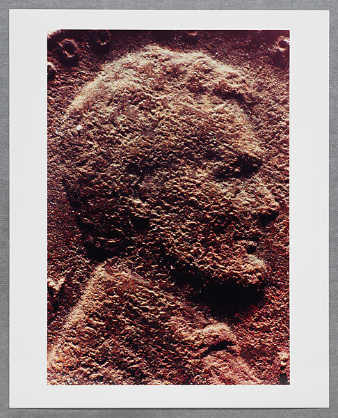 Copperhead Grid, Moyra Davey (American, born Toronto, 1958), Chromogenic prints