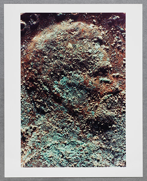 Copperhead Grid, Moyra Davey (American, born Toronto, 1958), Chromogenic prints