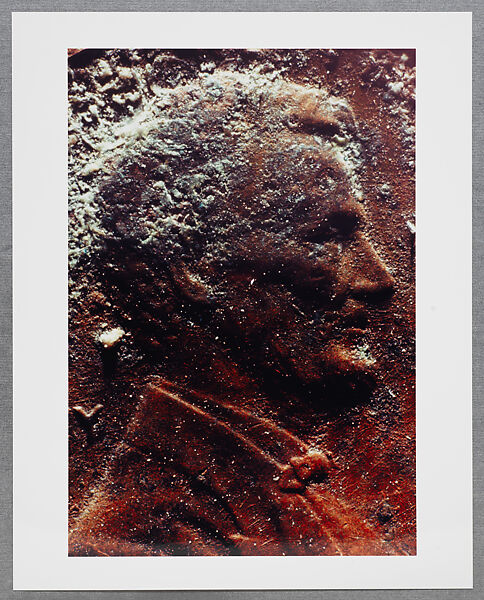 Copperhead Grid, Moyra Davey (American, born Toronto, 1958), Chromogenic prints