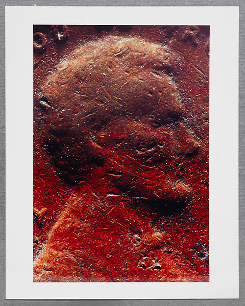 Copperhead Grid, Moyra Davey (American, born Toronto, 1958), Chromogenic prints