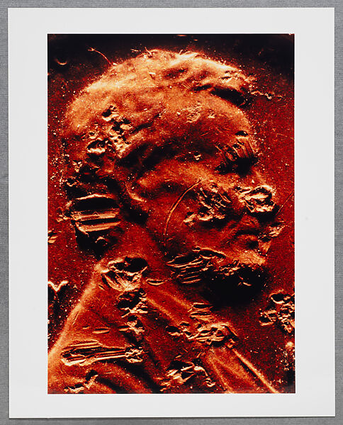 Copperhead Grid, Moyra Davey (American, born Toronto, 1958), Chromogenic prints