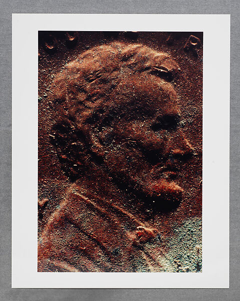 Copperhead Grid, Moyra Davey (American, born Toronto, 1958), Chromogenic prints