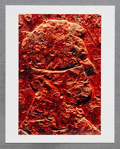 Copperhead Grid, Moyra Davey (American, born Toronto, 1958), Chromogenic prints