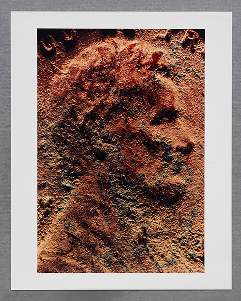 Copperhead Grid, Moyra Davey (American, born Toronto, 1958), Chromogenic prints