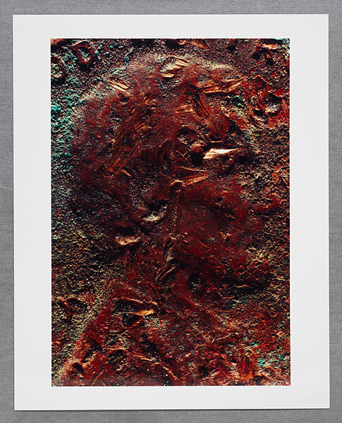Copperhead Grid, Moyra Davey (American, born Toronto, 1958), Chromogenic prints