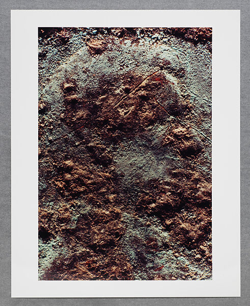 Copperhead Grid, Moyra Davey (American, born Toronto, 1958), Chromogenic prints