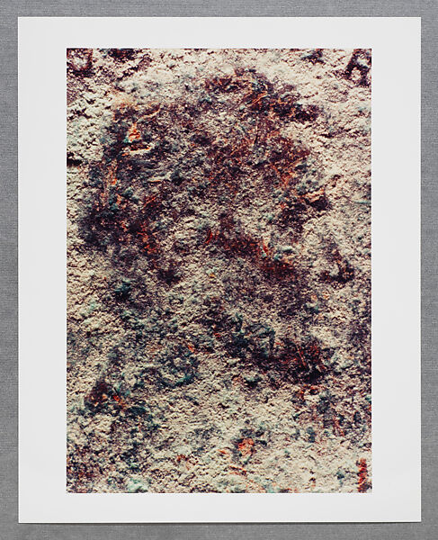 Copperhead Grid, Moyra Davey (American, born Toronto, 1958), Chromogenic prints