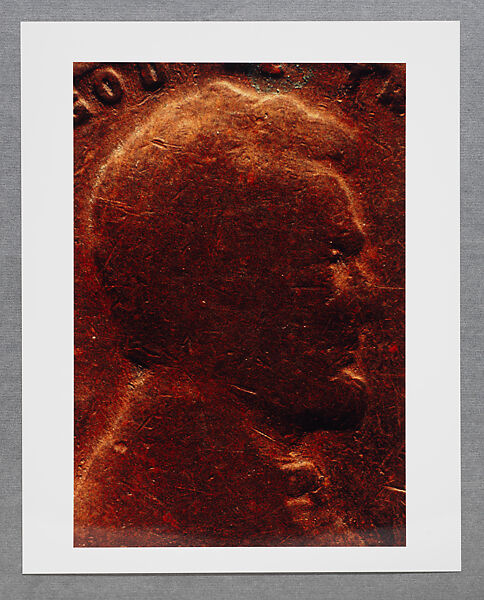 Copperhead Grid, Moyra Davey (American, born Toronto, 1958), Chromogenic prints