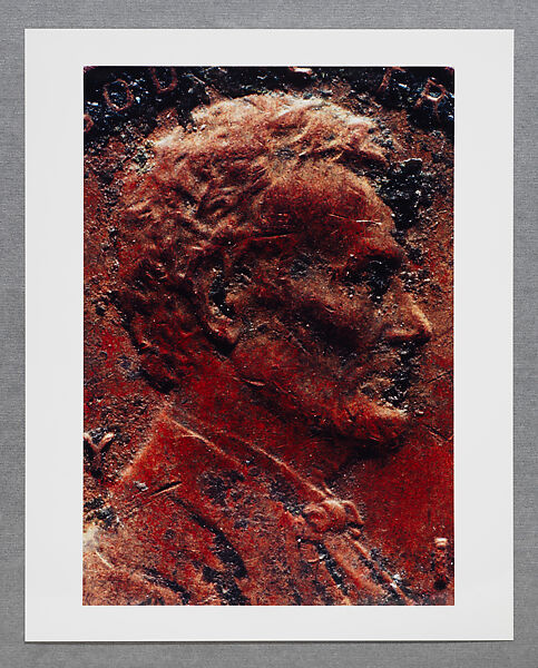 Copperhead Grid, Moyra Davey (American, born Toronto, 1958), Chromogenic prints