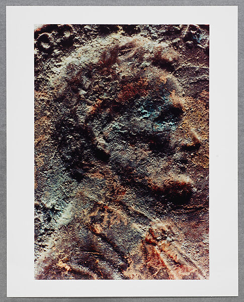Copperhead Grid, Moyra Davey (American, born Toronto, 1958), Chromogenic prints