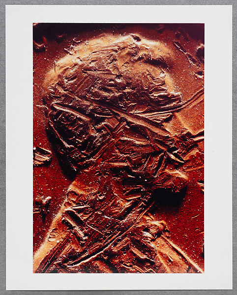 Copperhead Grid, Moyra Davey (American, born Toronto, 1958), Chromogenic prints