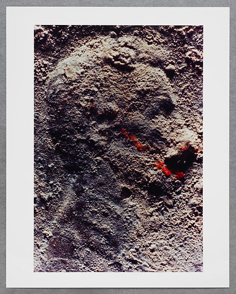 Copperhead Grid, Moyra Davey (American, born Toronto, 1958), Chromogenic prints