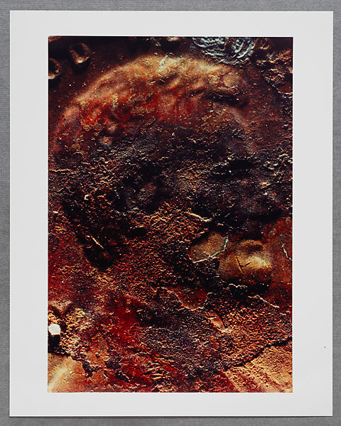 Copperhead Grid, Moyra Davey (American, born Toronto, 1958), Chromogenic prints