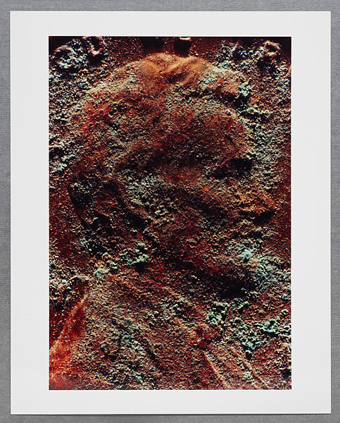 Copperhead Grid, Moyra Davey (American, born Toronto, 1958), Chromogenic prints