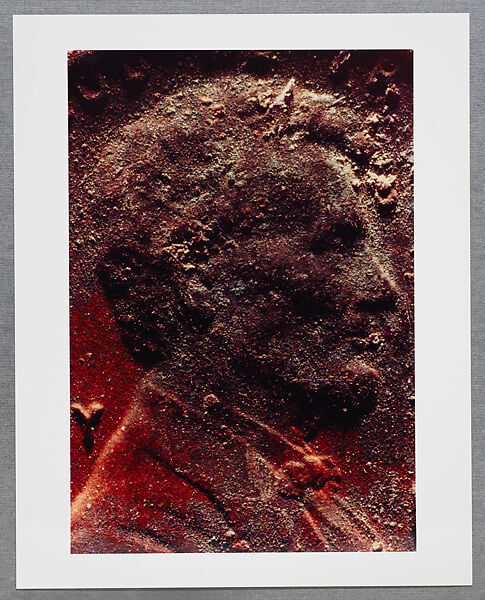 Copperhead Grid, Moyra Davey (American, born Toronto, 1958), Chromogenic prints