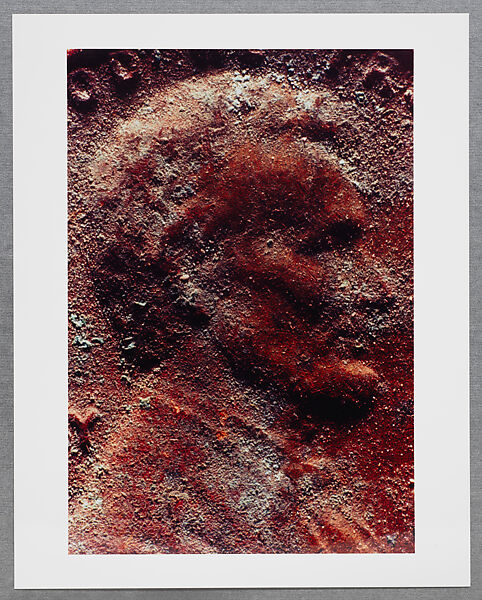 Copperhead Grid, Moyra Davey (American, born Toronto, 1958), Chromogenic prints