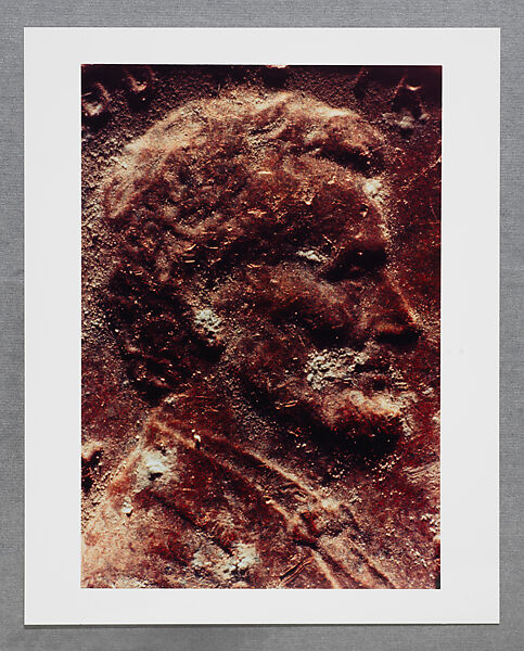 Copperhead Grid, Moyra Davey (American, born Toronto, 1958), Chromogenic prints