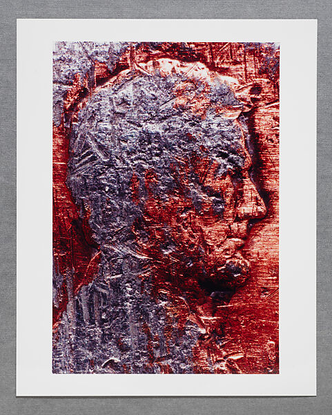 Copperhead Grid, Moyra Davey (American, born Toronto, 1958), Chromogenic prints