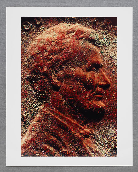 Copperhead Grid, Moyra Davey (American, born Toronto, 1958), Chromogenic prints