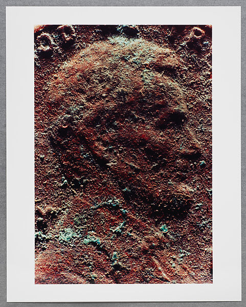 Copperhead Grid, Moyra Davey (American, born Toronto, 1958), Chromogenic prints
