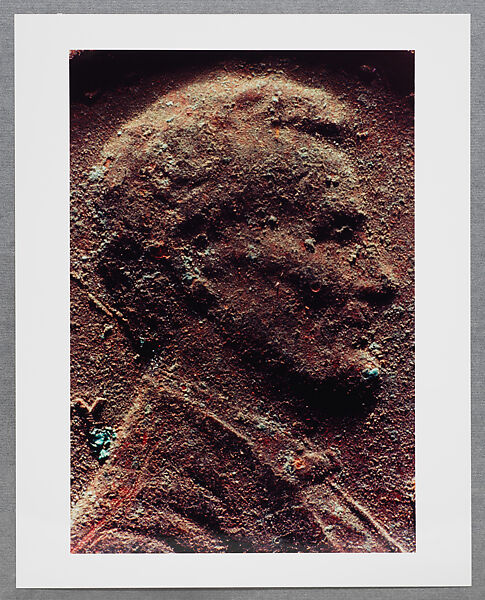 Copperhead Grid, Moyra Davey (American, born Toronto, 1958), Chromogenic prints