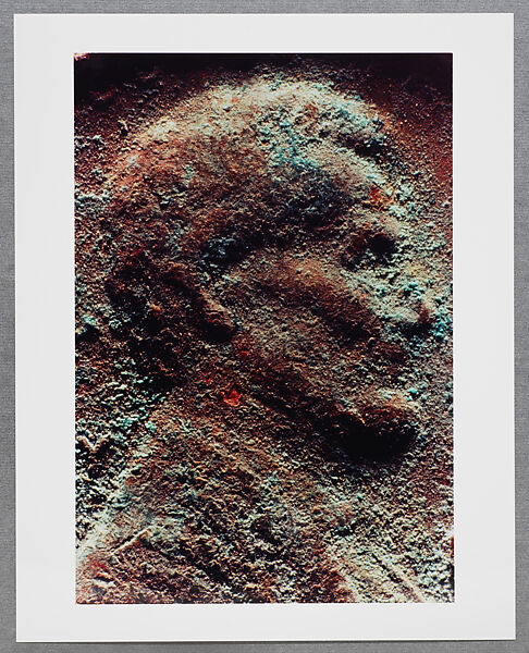 Copperhead Grid, Moyra Davey (American, born Toronto, 1958), Chromogenic prints