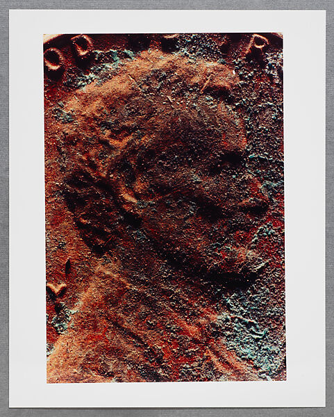 Copperhead Grid, Moyra Davey (American, born Toronto, 1958), Chromogenic prints