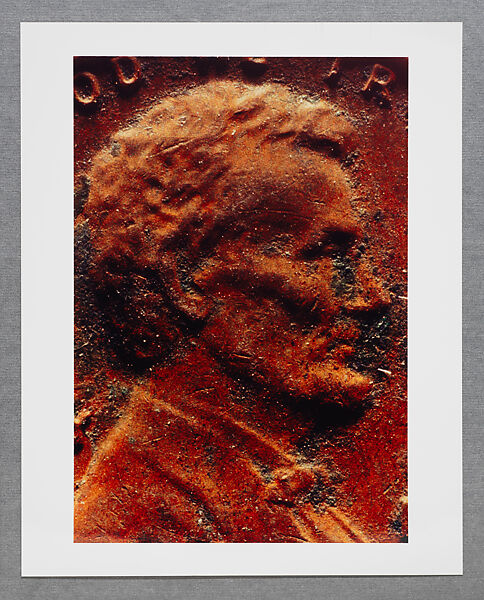 Copperhead Grid, Moyra Davey (American, born Toronto, 1958), Chromogenic prints