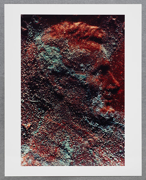 Copperhead Grid, Moyra Davey (American, born Toronto, 1958), Chromogenic prints