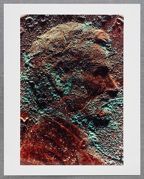 Copperhead Grid, Moyra Davey (American, born Toronto, 1958), Chromogenic prints