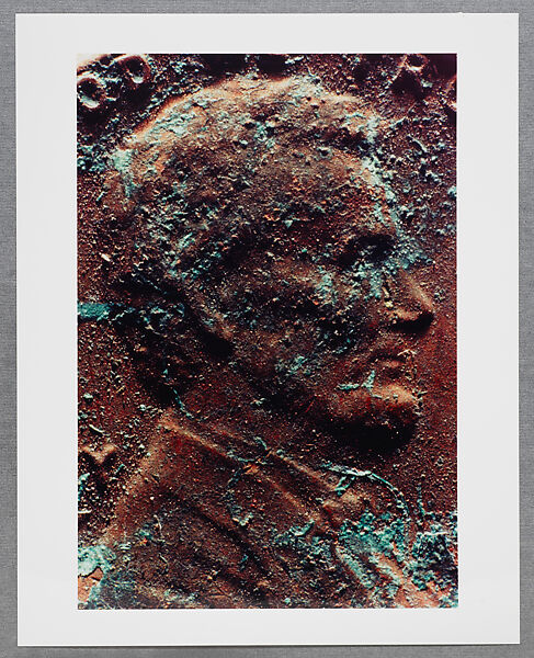Copperhead Grid, Moyra Davey (American, born Toronto, 1958), Chromogenic prints