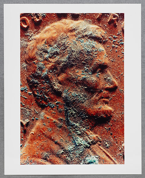 Copperhead Grid, Moyra Davey (American, born Toronto, 1958), Chromogenic prints
