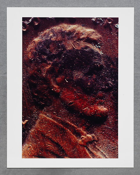 Copperhead Grid, Moyra Davey (American, born Toronto, 1958), Chromogenic prints