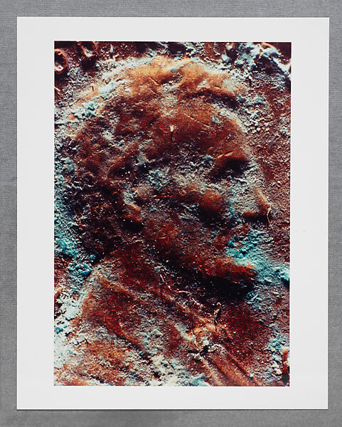 Copperhead Grid, Moyra Davey (American, born Toronto, 1958), Chromogenic prints