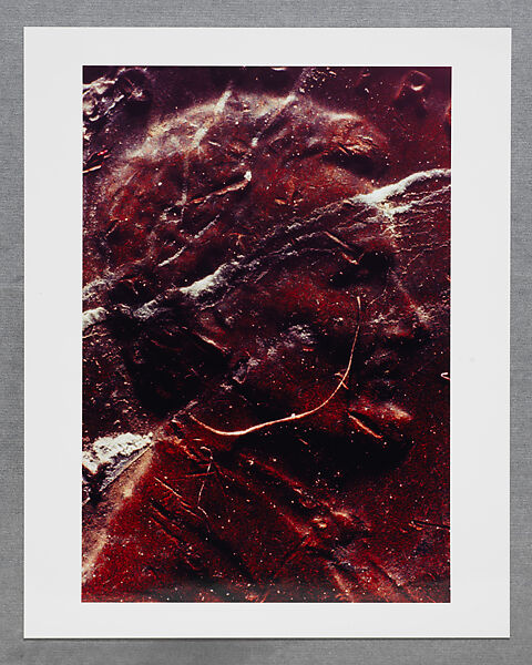 Copperhead Grid, Moyra Davey (American, born Toronto, 1958), Chromogenic prints