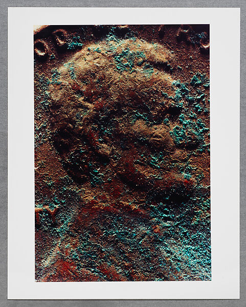 Copperhead Grid, Moyra Davey (American, born Toronto, 1958), Chromogenic prints