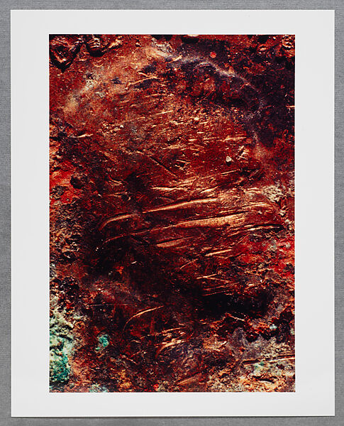 Copperhead Grid, Moyra Davey (American, born Toronto, 1958), Chromogenic prints