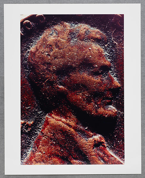 Copperhead Grid, Moyra Davey (American, born Toronto, 1958), Chromogenic prints