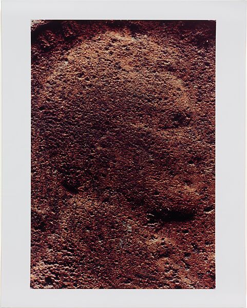 Copperhead Grid, Moyra Davey (American, born Toronto, 1958), Chromogenic prints