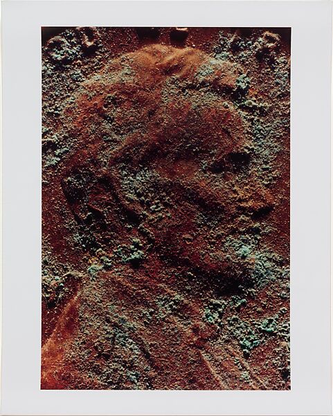 Copperhead Grid, Moyra Davey (American, born Toronto, 1958), Chromogenic prints