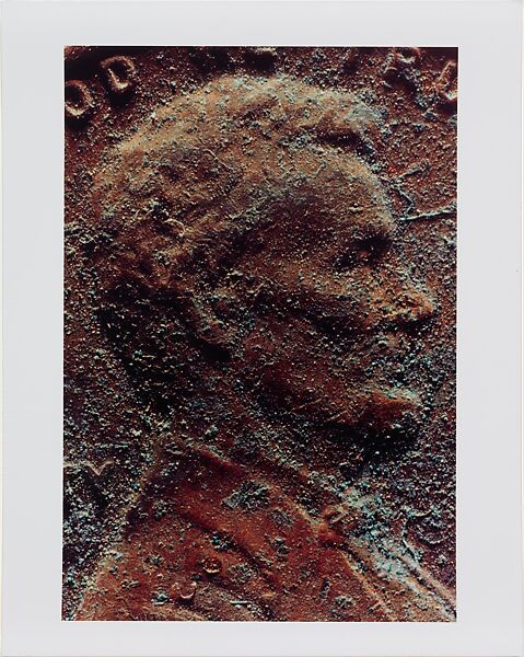 Copperhead Grid, Moyra Davey (American, born Toronto, 1958), Chromogenic prints