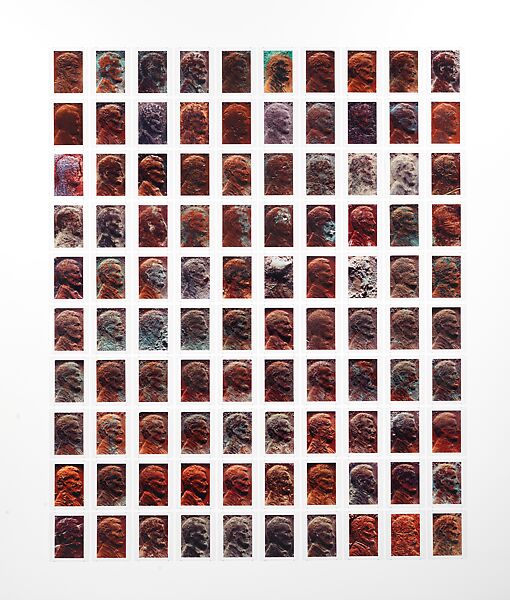 Copperhead Grid, Moyra Davey (American, born Toronto, 1958), Chromogenic prints 