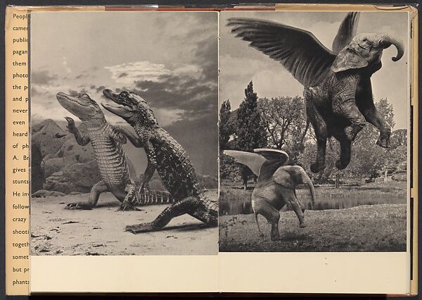Crazy Camera: Secrets of Photomontage, Claude A. Bromley 