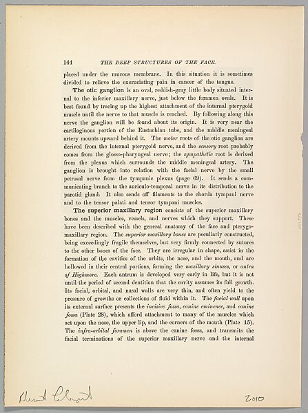 untitled (GN; structure face), Robert Flynt (American, born 1956), Inkjet print