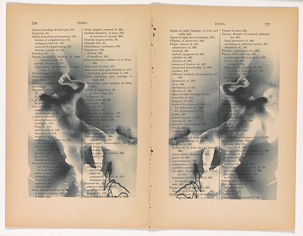 untitled (NS; double index), Robert Flynt (American, born 1956), Inkjet print 